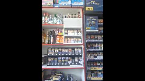 fluturas2 @ stripchat on 20251023