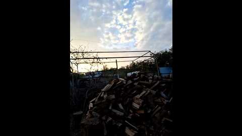 fluturas2 @ stripchat on 20251023