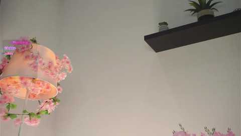 amilewis @ stripchat on 20251024