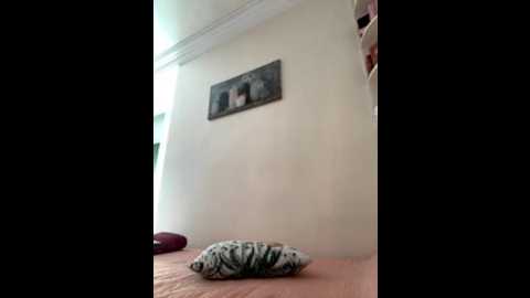 sousou_morocco @ stripchat on 20251024