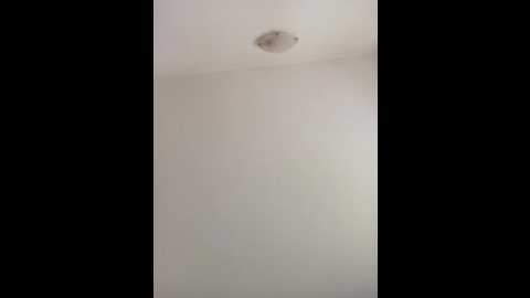 virggin_pussy_cum @ stripchat on 20251024