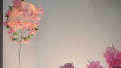 amilewis @ stripchat on 20251025