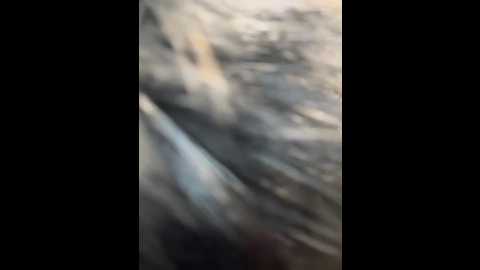 andreamood @ stripchat on 20251025