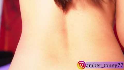 amber_tonny77 @ stripchat on 20251026