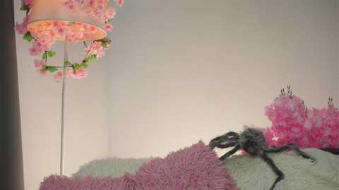 amilewis @ stripchat on 20251026