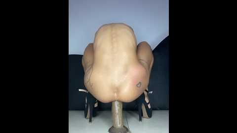 exotic_girl666 @ stripchat on 20251026