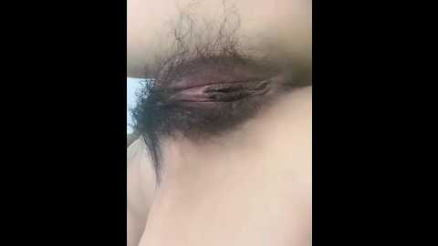 jju9970 @ stripchat on 20251026