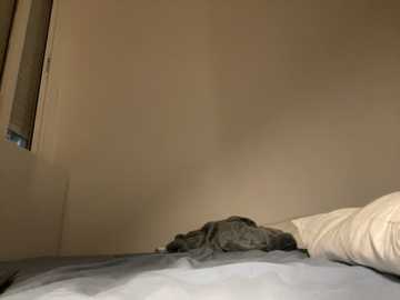 lisa_5329 @ stripchat on 20251026