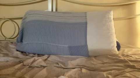 martyyy06 @ stripchat on 20251026