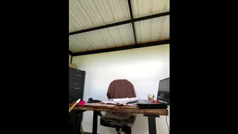 rose_andres @ stripchat on 20251026