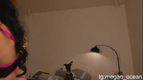 megan_galactica @ stripchat on 20251027