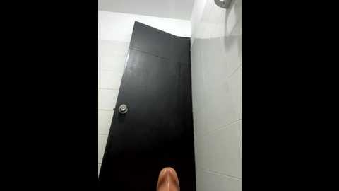 melyescobar @ stripchat on 20251027