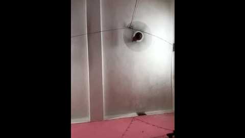 panchi2 @ stripchat on 20251027