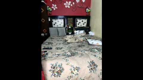 priya_22 @ stripchat on 20251027