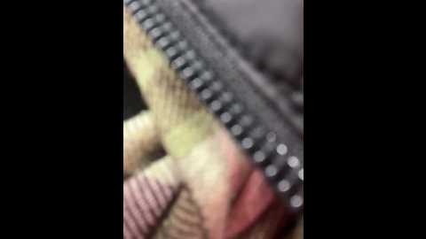 stasywood @ stripchat on 20251027