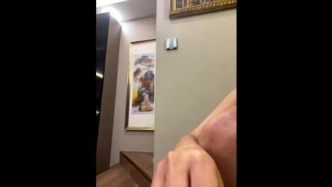 zhenzhen666 @ stripchat on 20251027