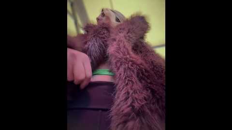 adya_aly @ stripchat on 20251028