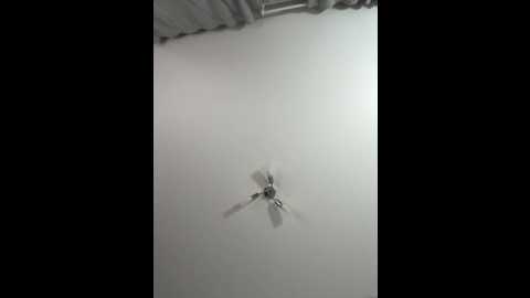 caseycumface @ stripchat on 20251028