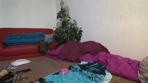 herrundfrau_m @ stripchat on 20251028