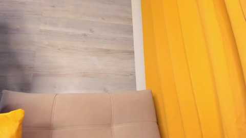 irenehabibi @ stripchat on 20251028