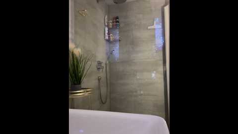 lilly_cherry69 @ stripchat on 20251028