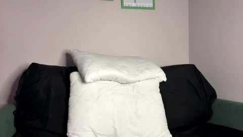 petulagunton @ stripchat on 20251028