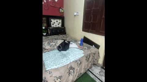 priya_22 @ stripchat on 20251028