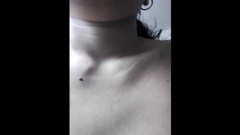 guadalupe_lopez @ stripchat on 20251029