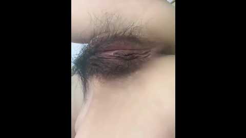 jju9970 @ stripchat on 20251029