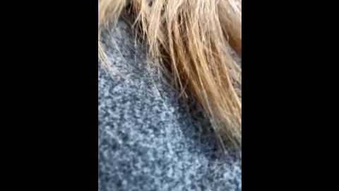 justmilaa @ stripchat on 20251029