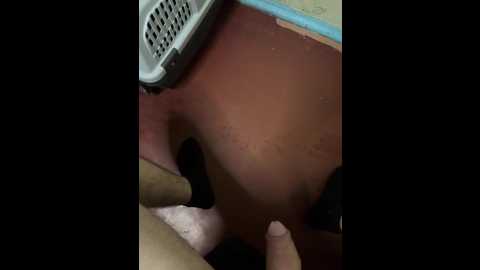 ketadeksa @ stripchat on 20251029