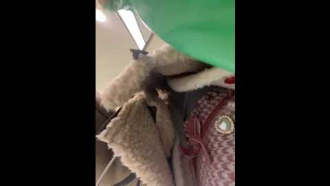 lia__love @ stripchat on 20251029