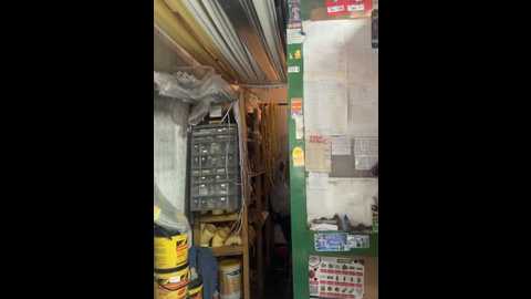 madame_arlette @ stripchat on 20251029