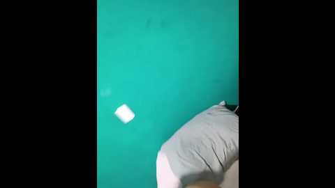 marimar_24 @ stripchat on 20251029