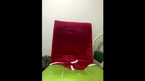 narinmeleyin @ stripchat on 20251029