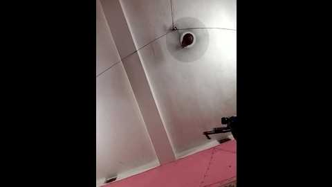 panchi2 @ stripchat on 20251029