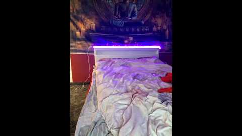 slimbellaa @ stripchat on 20251029