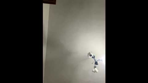 narinmeleyin @ stripchat on 20251030