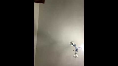 narinmeleyin @ stripchat on 20251030