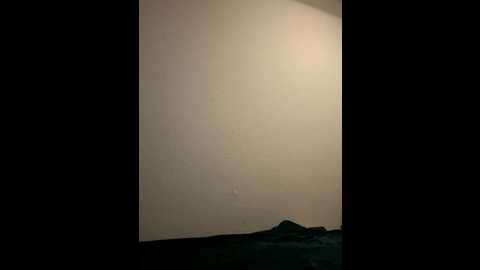 samiraschulz @ stripchat on 20251030