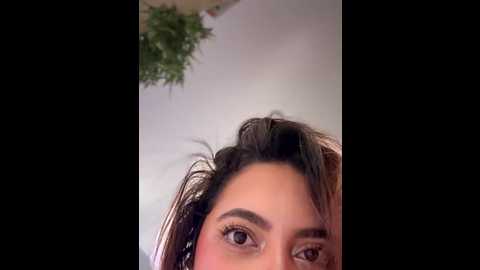 aryrosee @ stripchat on 20251031