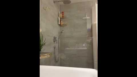 lilly_cherry69 @ stripchat on 20251031