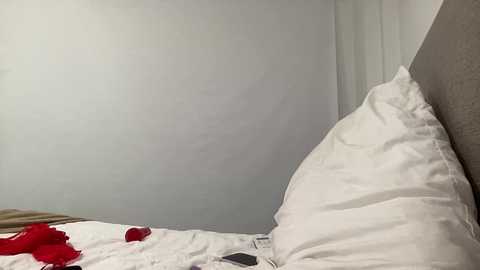 lolykush @ stripchat on 20251031