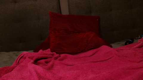 malvinawild @ stripchat on 20251031