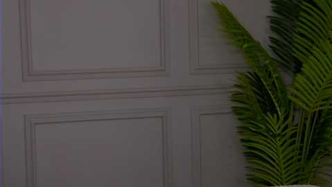 mary_honey @ stripchat on 20251031