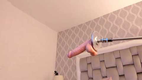 megan_leal1 @ stripchat on 20251031