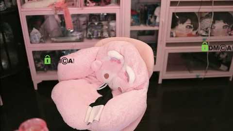 nide_xiaogou @ stripchat on 20251031