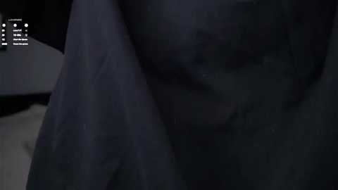 piquingogalala @ stripchat on 20251031