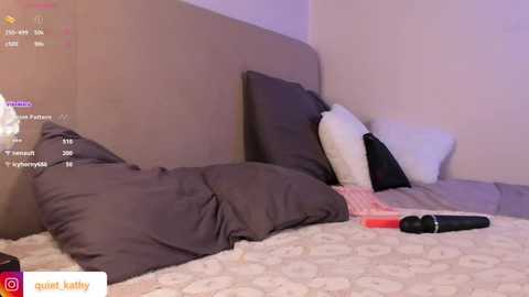 quiet_kathy1 @ stripchat on 20251031