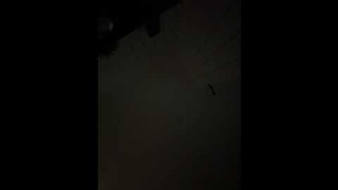 rinacat @ stripchat on 20251031